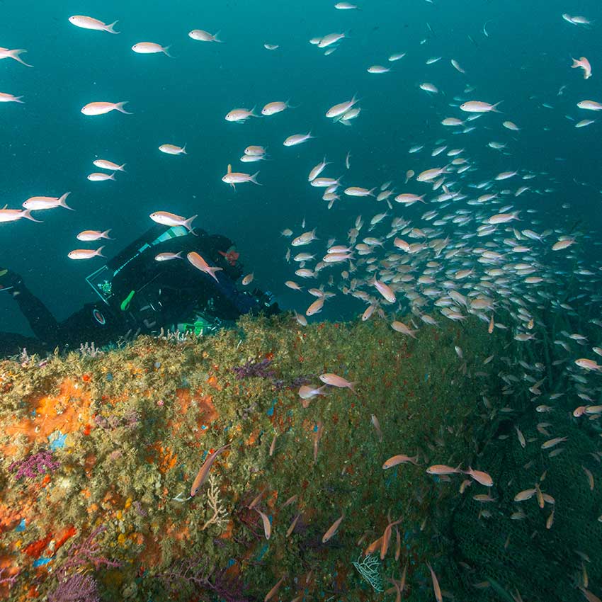 museo-abierto-ceuta-actividades-cofradia-pescadores-01