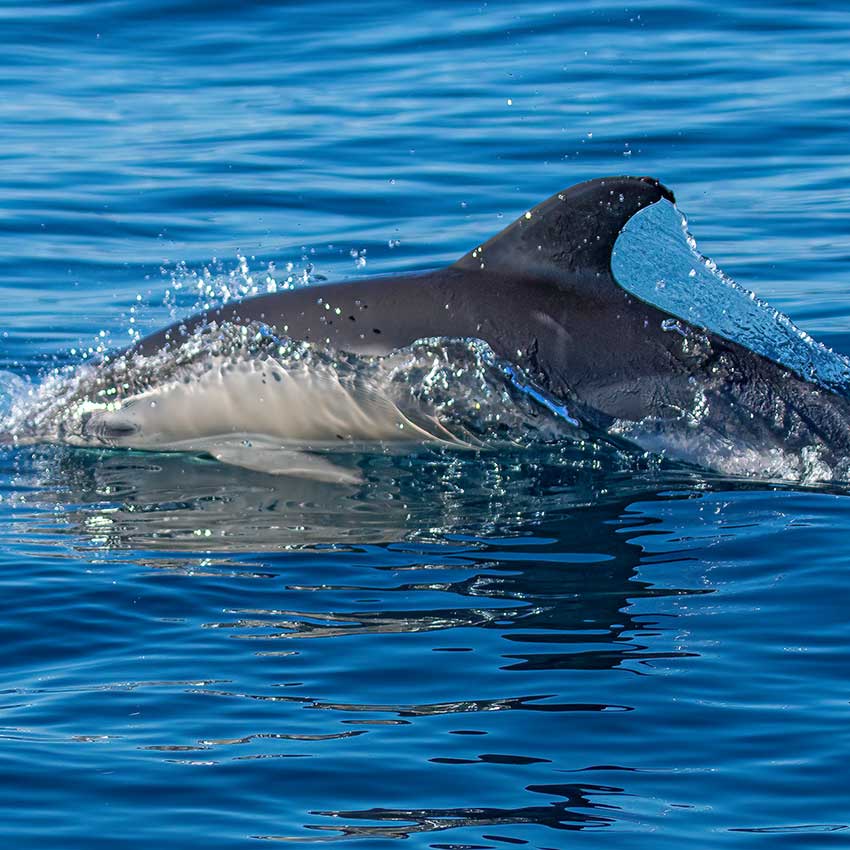museo-abierto-ceuta-actividades-cofradia-pescadores-03
