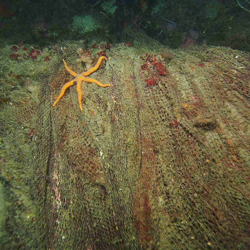 museo-abierto-ceuta-actividades-cofradia-pescadores-04