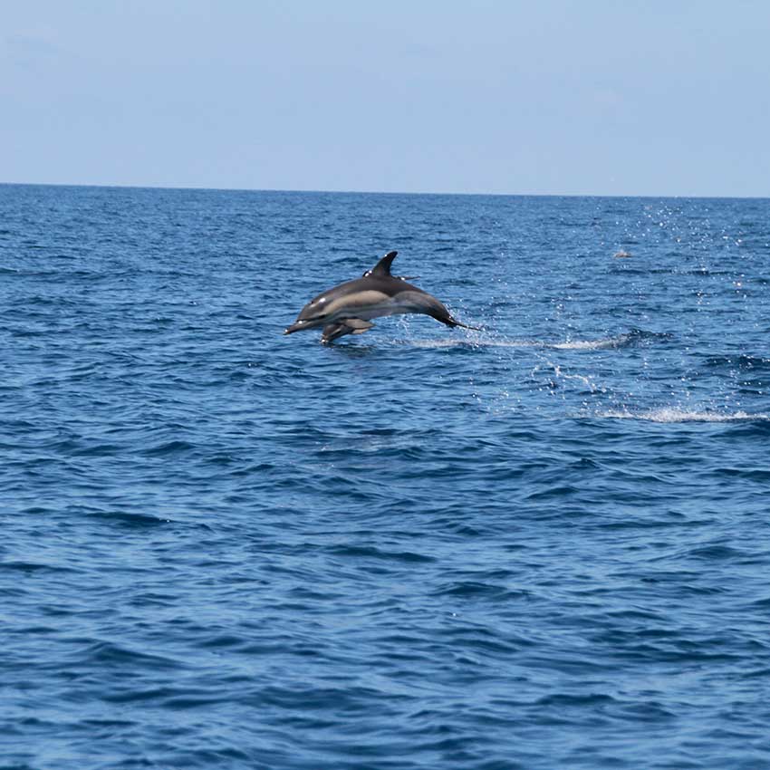 museo-abierto-ceuta-actividades-cofradia-pescadores-05