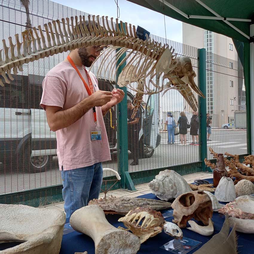 museo-abierto-ceuta-actividades-cruceros-03