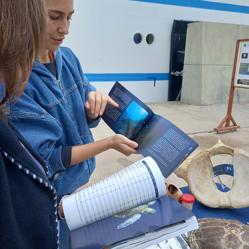 museo-abierto-ceuta-actividades-cruceros-04