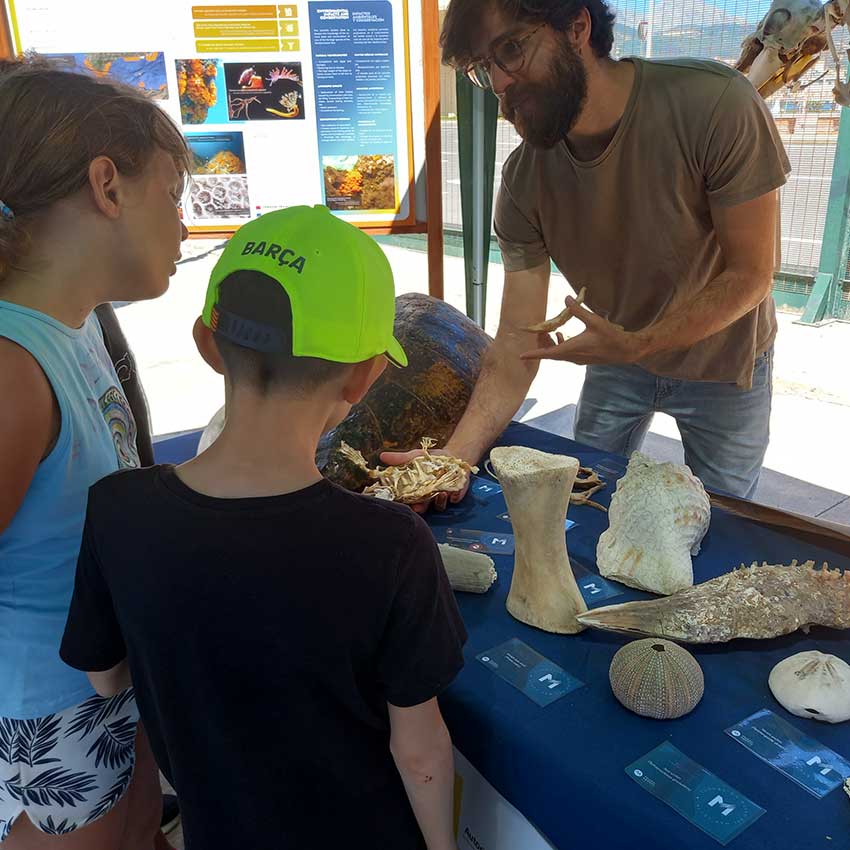 museo-abierto-ceuta-actividades-cruceros-04