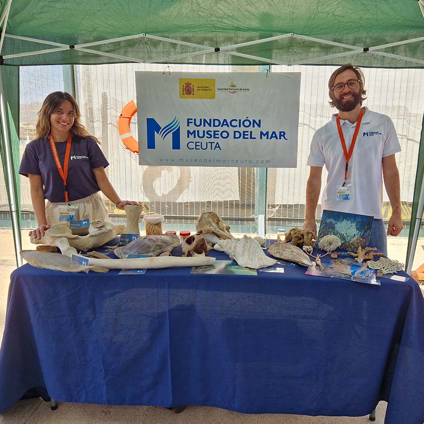 museo-abierto-ceuta-actividades-cruceros-05