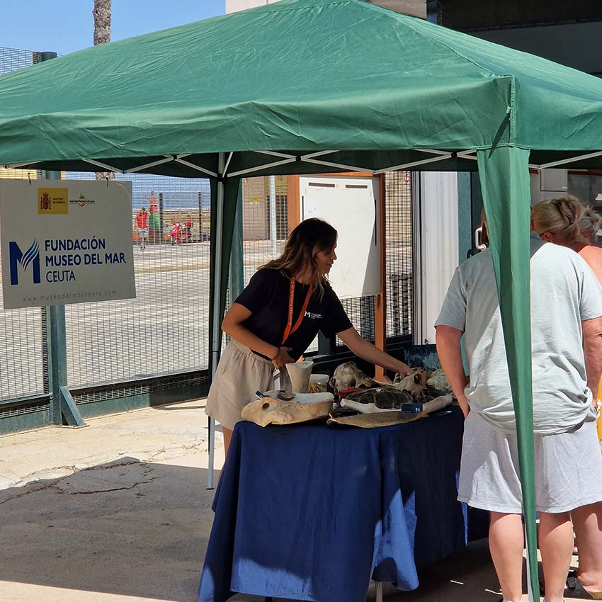 museo-abierto-ceuta-actividades-cruceros-06