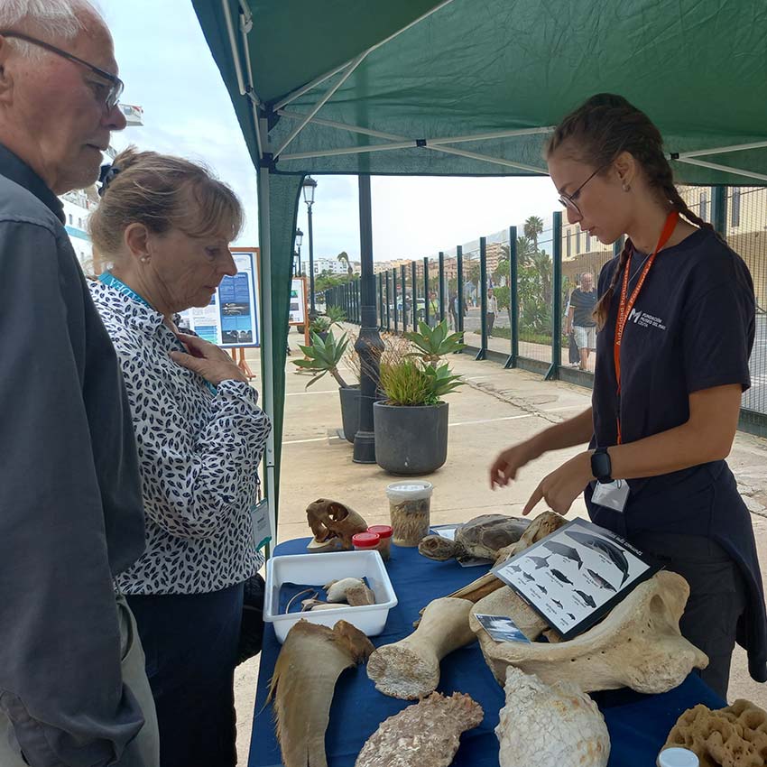 museo-abierto-ceuta-actividades-cruceros-09