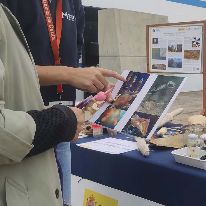 museo-abierto-ceuta-actividades-cruceros-13