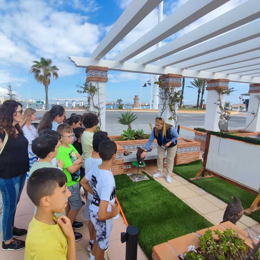 museo-abierto-ceuta-actividades-dia-medioambiente-01