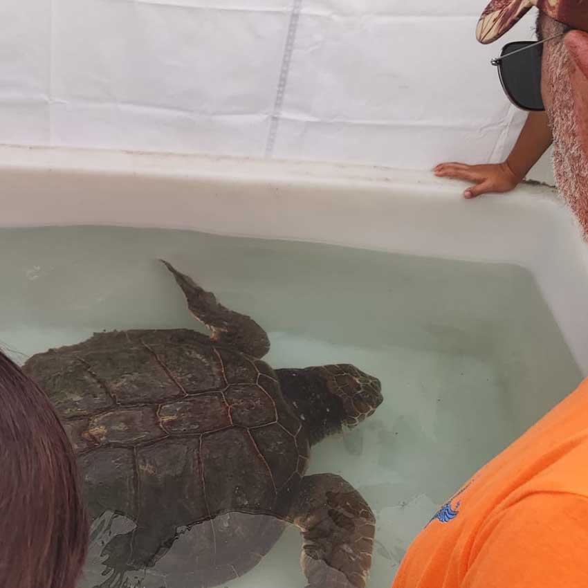 museo-abierto-ceuta-actividades-dia-medioambiente-04