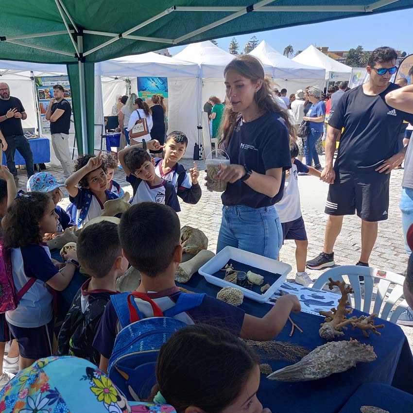 museo-abierto-ceuta-actividades-dia-medioambiente-2024-05