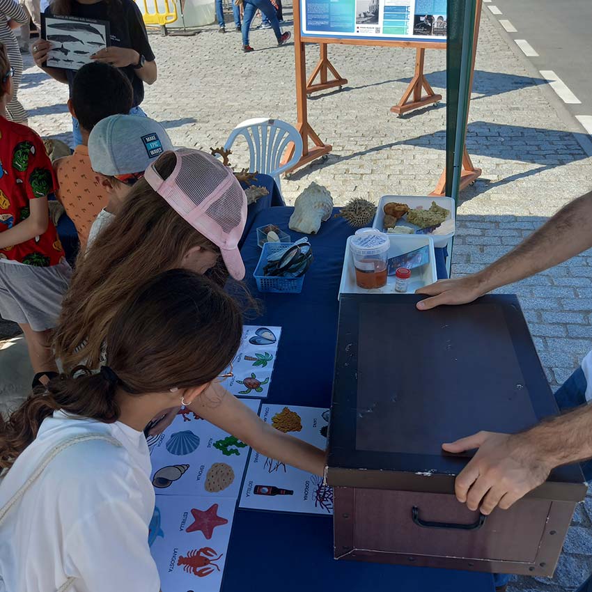 museo-abierto-ceuta-actividades-dia-medioambiente-2024-11