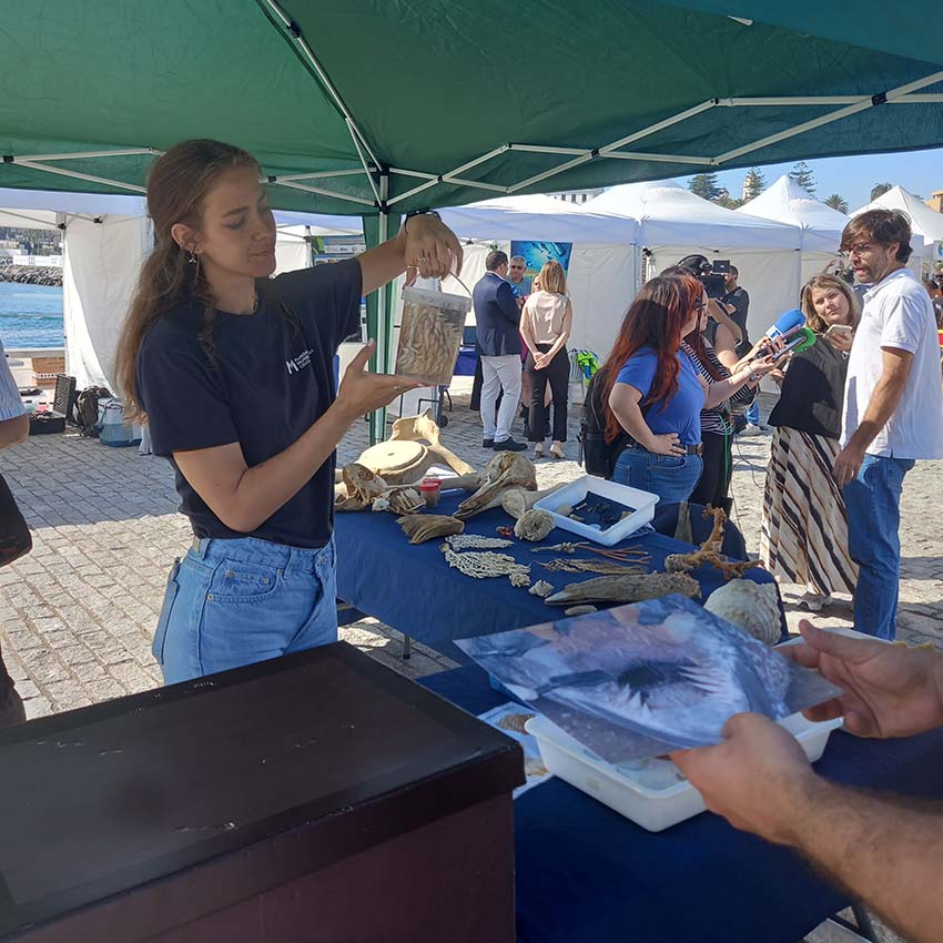 museo-abierto-ceuta-actividades-dia-medioambiente-2024-13
