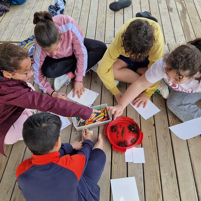 museo-abierto-ceuta-actividades-educativas-algario-03