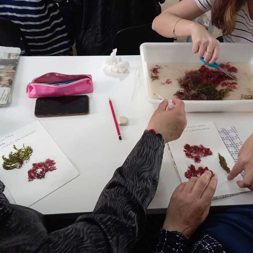 museo-abierto-ceuta-actividades-educativas-algario-05