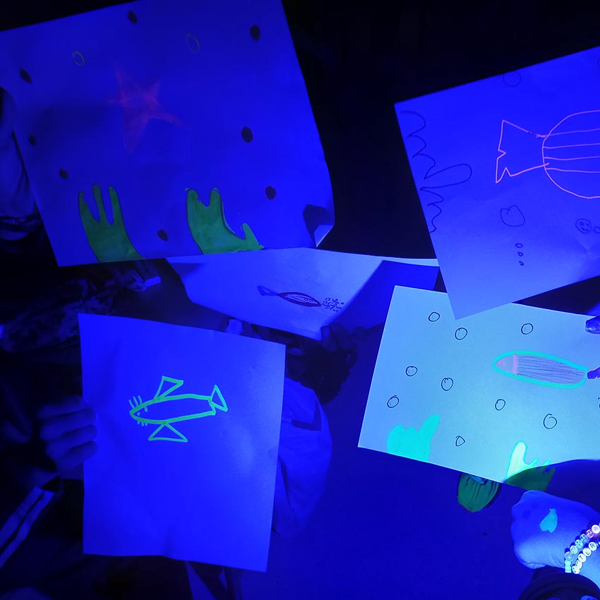 museo-abierto-ceuta-actividades-educativas-bioluminiscencia-01