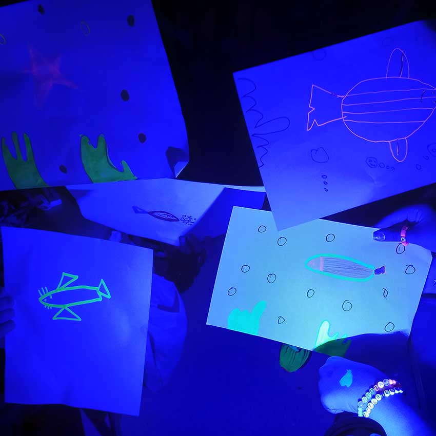 museo-abierto-ceuta-actividades-educativas-bioluminiscencia-03