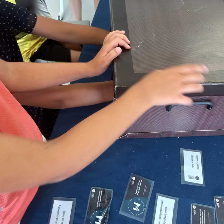 museo-abierto-ceuta-actividades-educativas-cajas-ciegas-02