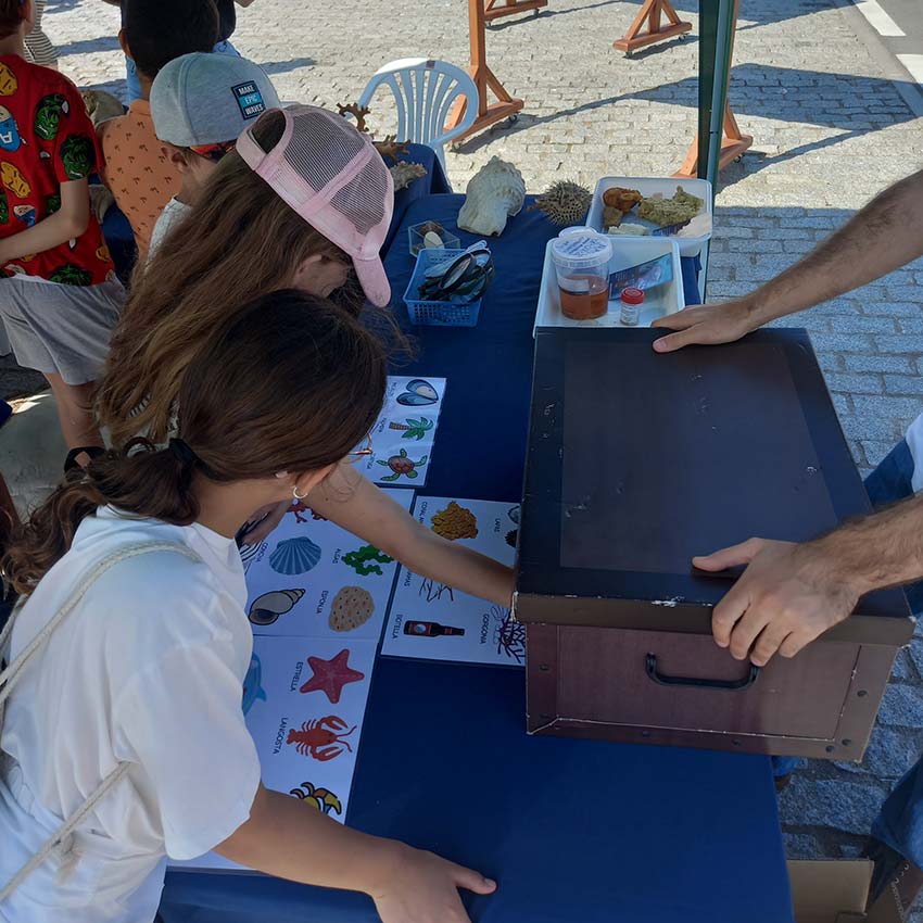 museo-abierto-ceuta-actividades-educativas-cajas-ciegas-03