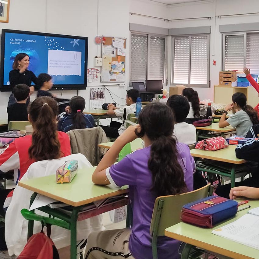 museo-abierto-ceuta-actividades-educativas-esqueletos-02