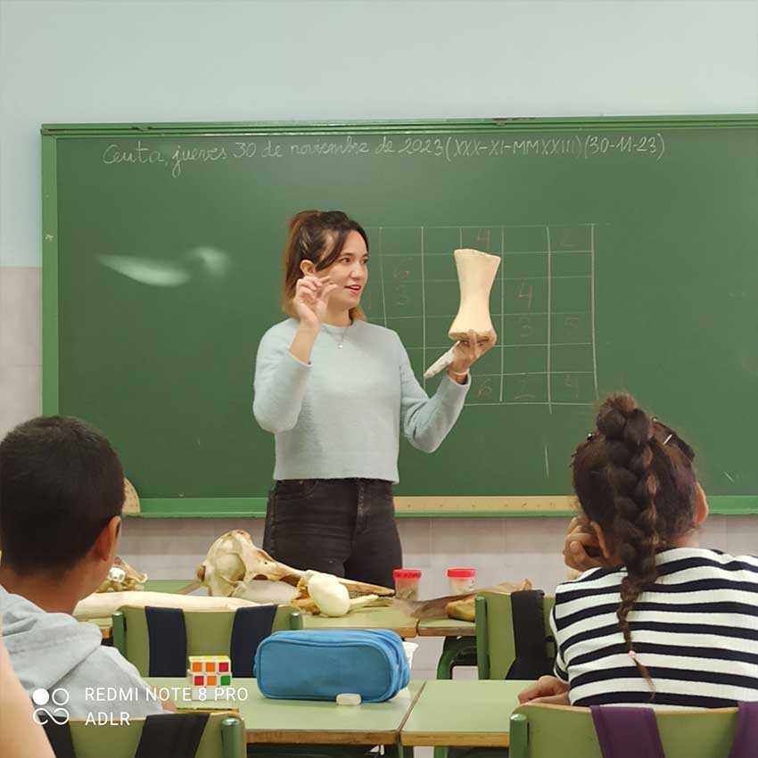 museo-abierto-ceuta-actividades-educativas-esqueletos-04