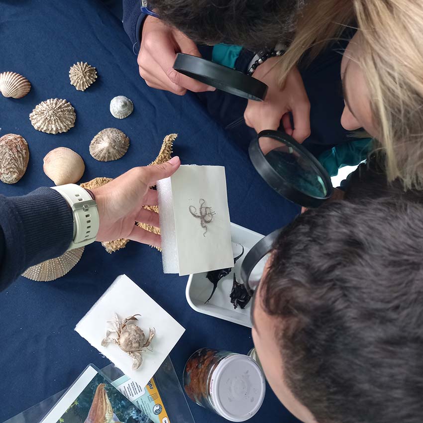 museo-abierto-ceuta-actividades-educativas-tesoros-marinos-04