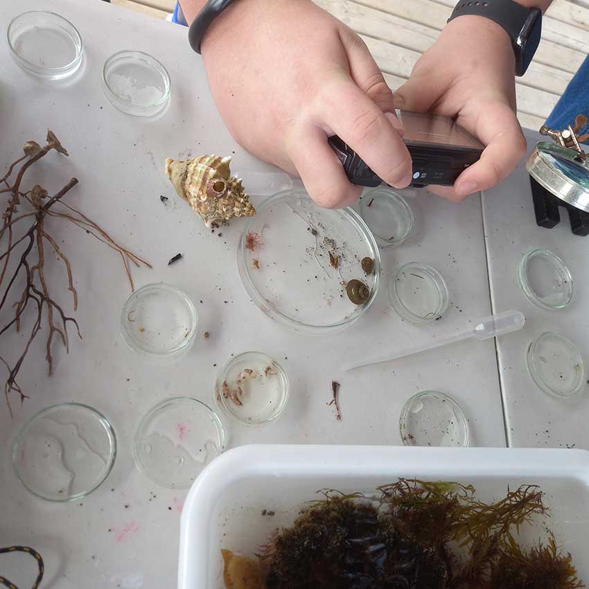 museo-abierto-ceuta-actividades-educativas-tesoros-marinos-05