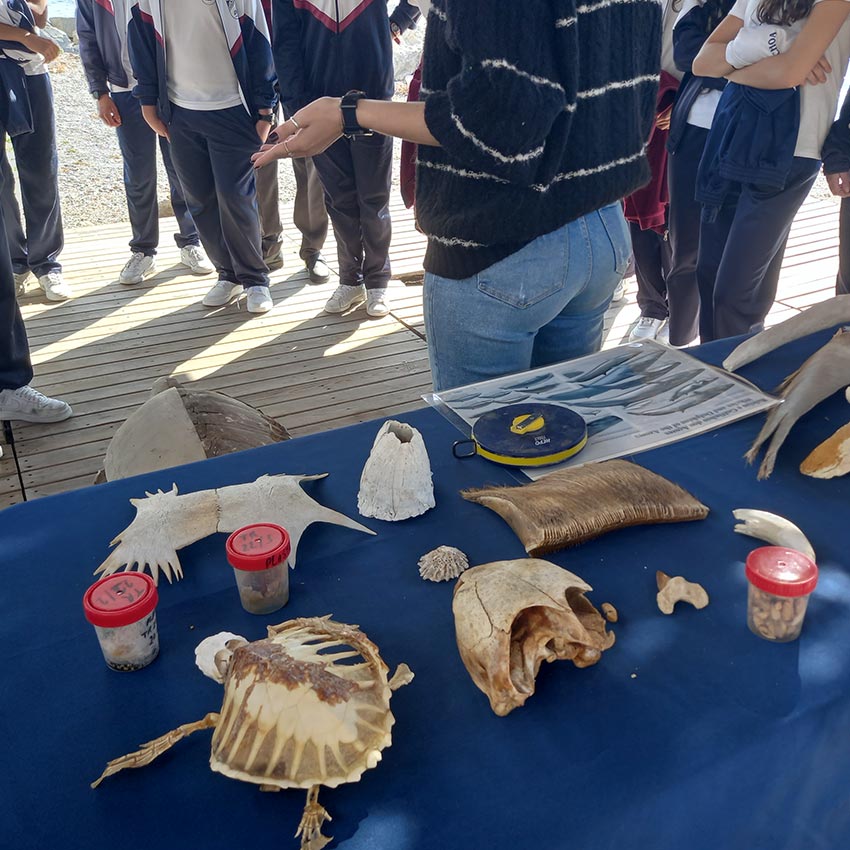 museo-abierto-ceuta-actividades-educativas-varamientos-01