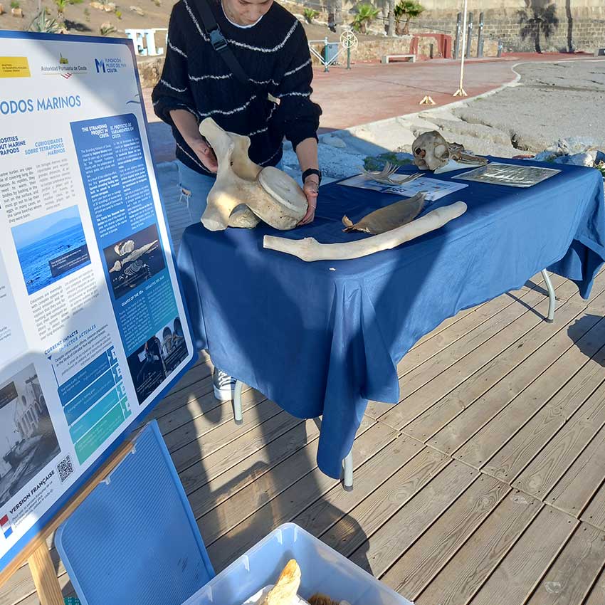 museo-abierto-ceuta-actividades-educativas-varamientos-03