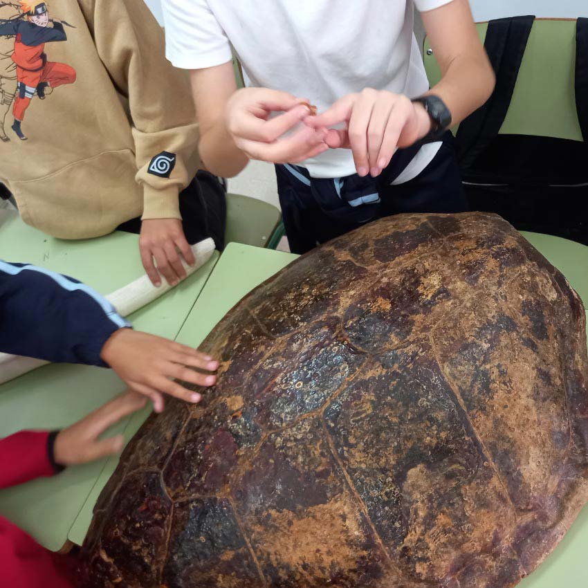 museo-abierto-ceuta-actividades-educativas-varamientos-05